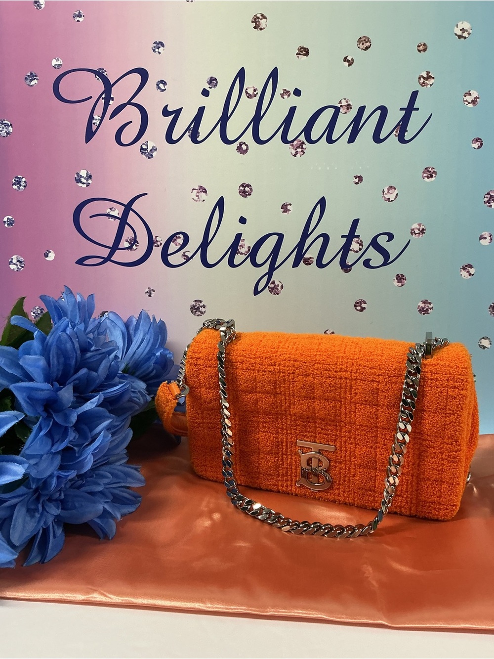 🧡NWOT $2850 BURBERRY CROSSBODY BAG